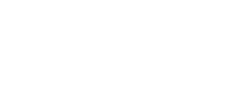 maxtires-logo-web-white